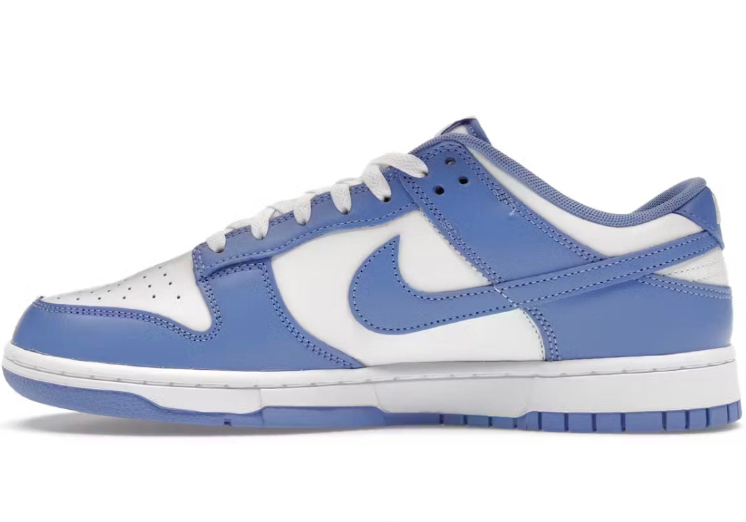 Nike Dunk Low Polar Blue